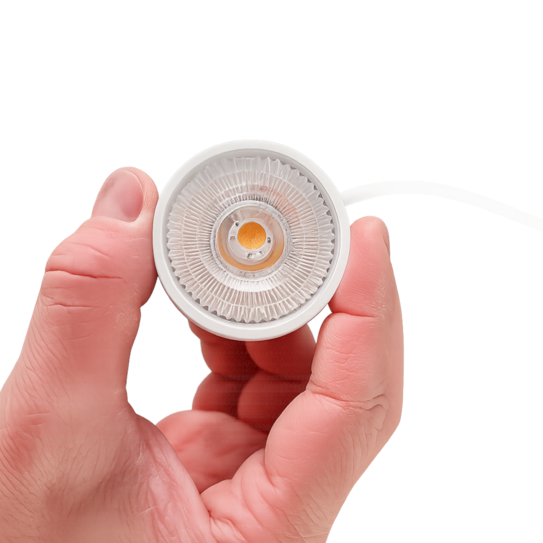 Modul cu LED CLEVER