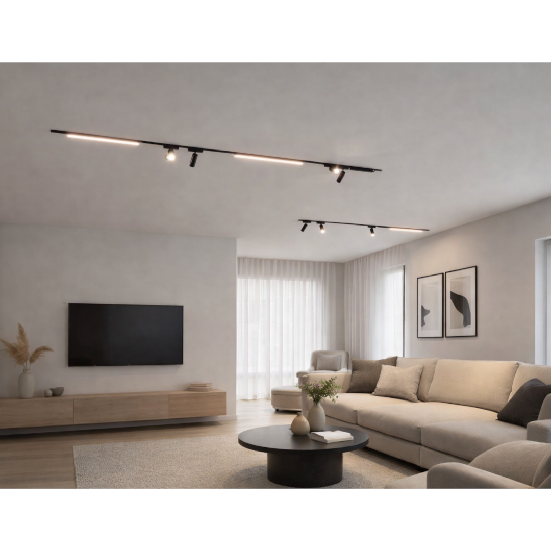 THIN MAGNET profil magnetic aplicat — imagine 2