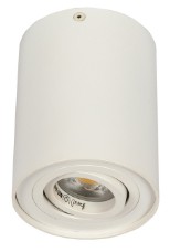 RING CEILING — spot aplicat orientabil — imagine 1
